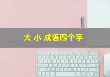 大 小 成语四个字